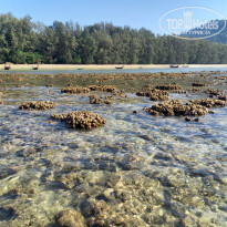 фото из отзыва ID 2635519