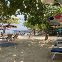 фото из отзыва ID 2635519