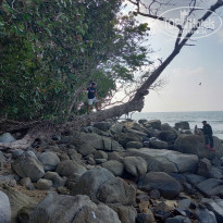 фото из отзыва ID 2635519