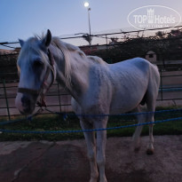 фото из отзыва ID 2635657