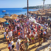 фото из отзыва ID 2635657