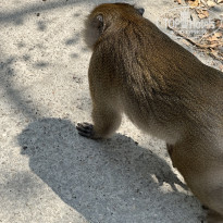 фото из отзыва ID 2635746