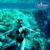 фото из отзыва ID 2635765