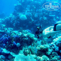 фото из отзыва ID 2635765