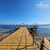 фото из отзыва ID 2635765