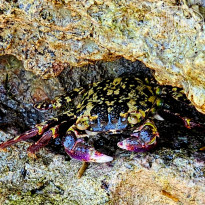 фото из отзыва ID 2635765