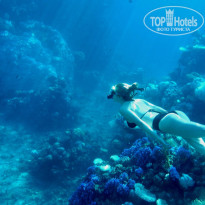 фото из отзыва ID 2635765