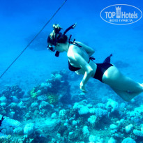 фото из отзыва ID 2635765