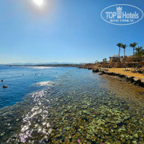 фото из отзыва ID 2635765