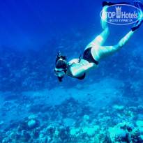 фото из отзыва ID 2635765