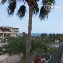 фото из отзыва ID 2635100