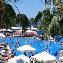 фото из отзыва ID 2635819