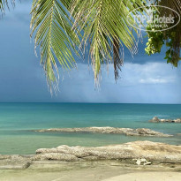 фото из отзыва ID 2635844