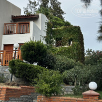 фото из отзыва ID 2635899