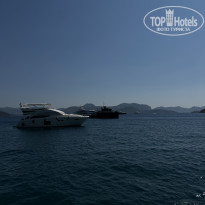 фото из отзыва ID 2635908