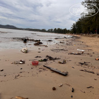 фото из отзыва ID 2636145