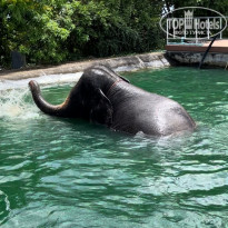 фото из отзыва ID 2636145