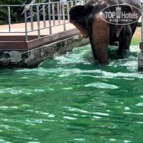 фото из отзыва ID 2636145