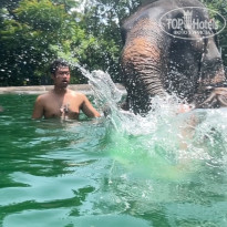 фото из отзыва ID 2636145