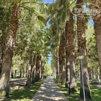 фото из отзыва ID 2634520