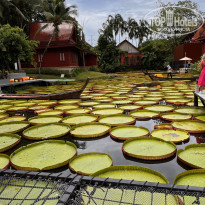 фото из отзыва ID 2636145