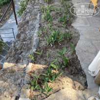 фото из отзыва ID 2636231