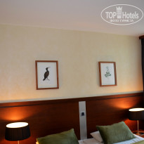 фото из отзыва ID 2636394