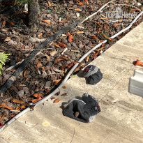 фото из отзыва ID 2636310