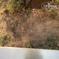 фото из отзыва ID 2636310