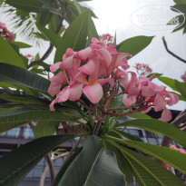 фото из отзыва ID 2636454