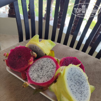 фото из отзыва ID 2636454