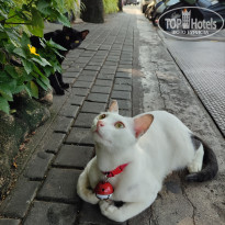 фото из отзыва ID 2636454