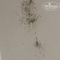 фото из отзыва ID 2636494