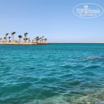 фото из отзыва ID 2636626