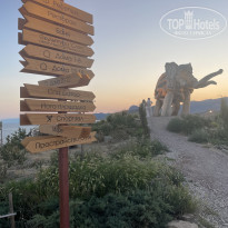 фото из отзыва ID 2636675