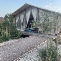 фото из отзыва ID 2636675