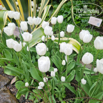 фото из отзыва ID 2636809