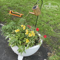 фото из отзыва ID 2636906