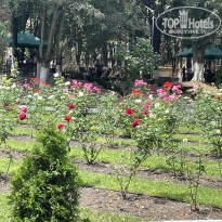 фото из отзыва ID 2636906