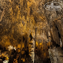 фото из отзыва ID 2636978