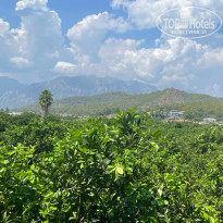 фото из отзыва ID 2636808