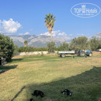 фото из отзыва ID 2636808