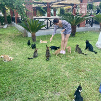 фото из отзыва ID 2636808