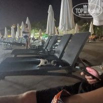 фото из отзыва ID 2637078