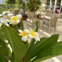 фото из отзыва ID 2637128