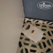 фото из отзыва ID 2637252