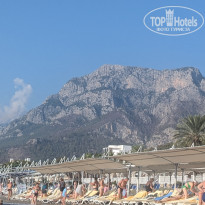 фото из отзыва ID 2637300