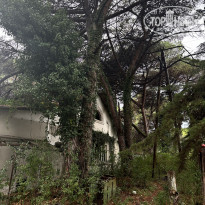 фото из отзыва ID 2637420