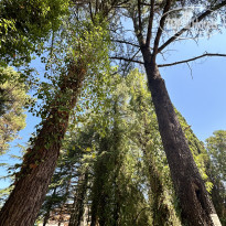 фото из отзыва ID 2637420