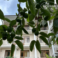 фото из отзыва ID 2637420